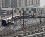 Rocky Mountaineer train 